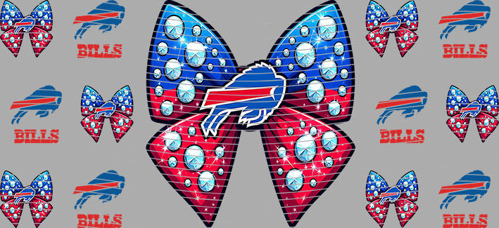 16oz team-NFL 3285
